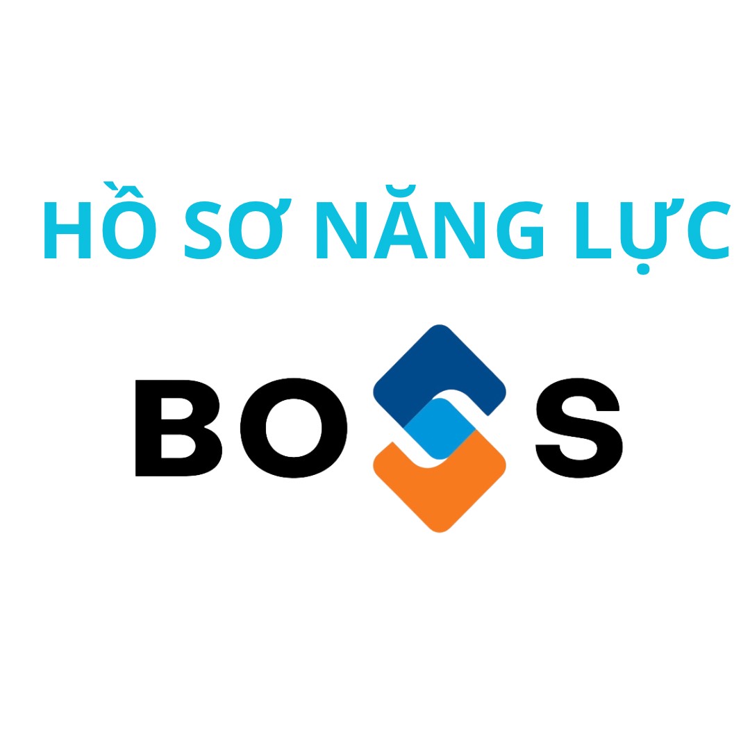 Hồ sơ năng lực Hệ sinh thái Boss